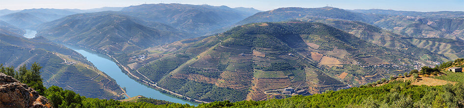 Weinberge von Douro